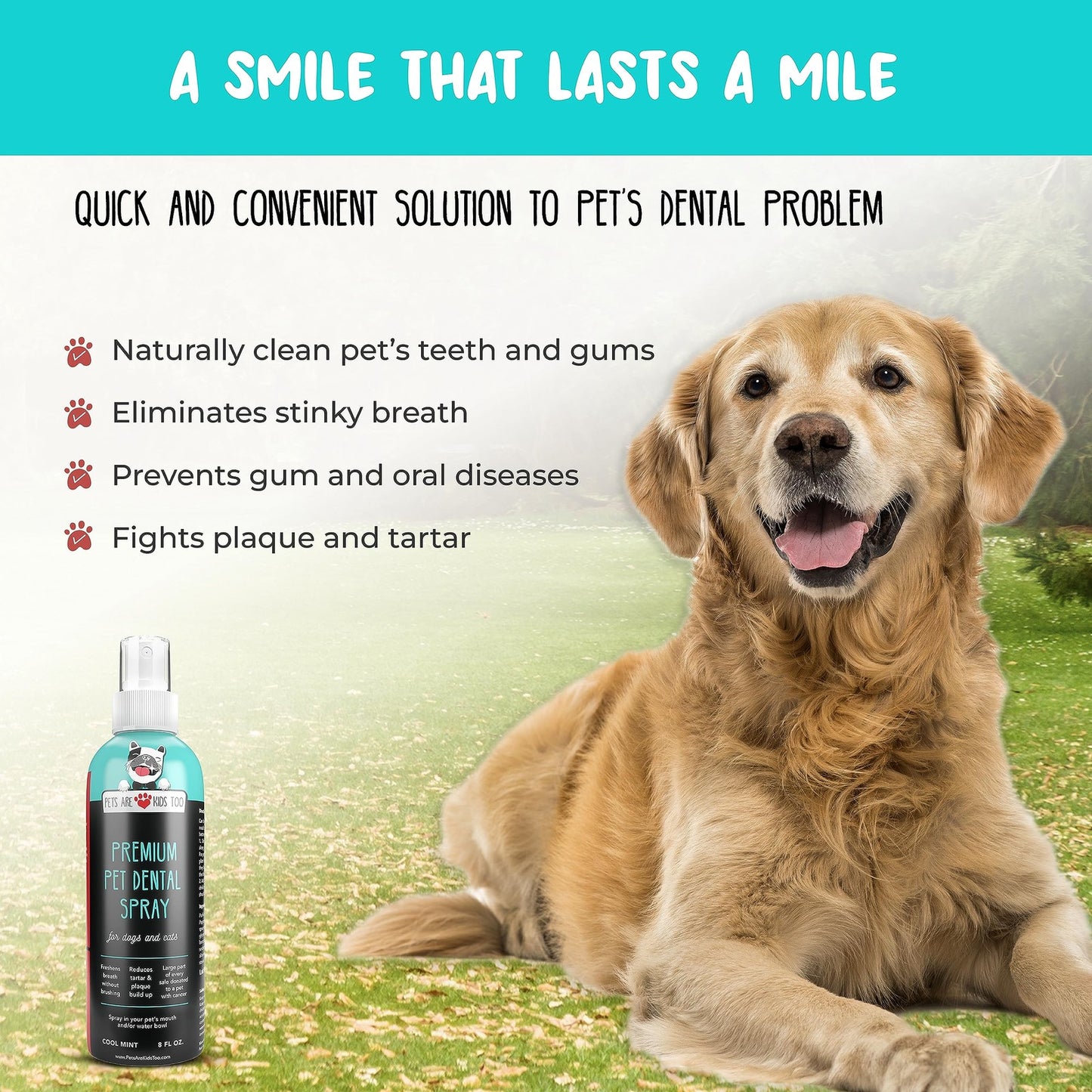 Pets Are Kids Dog Dental Spray - 8Oz Premium Dog Breath Spray & Dental