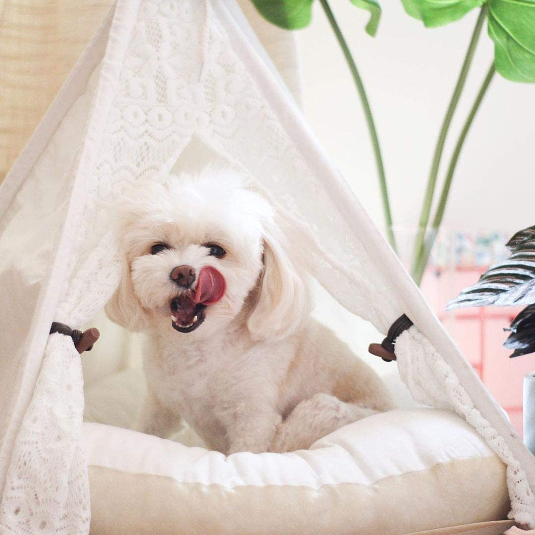 Portable Pet Teepee Bed for Dogs and Cats - 24 Inch Lace Style Tent Without Cushion